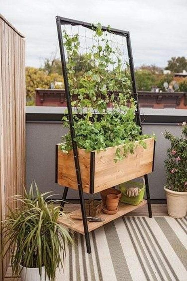 Wooden Vertical Gardens Rise High