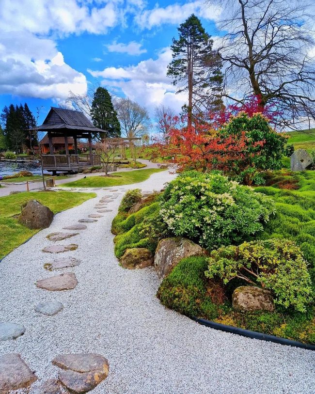 Curved Garden Paths Through Greenery