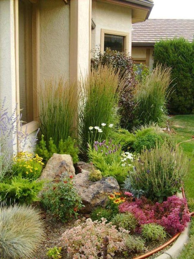Stone Pathways Among Native Grasses