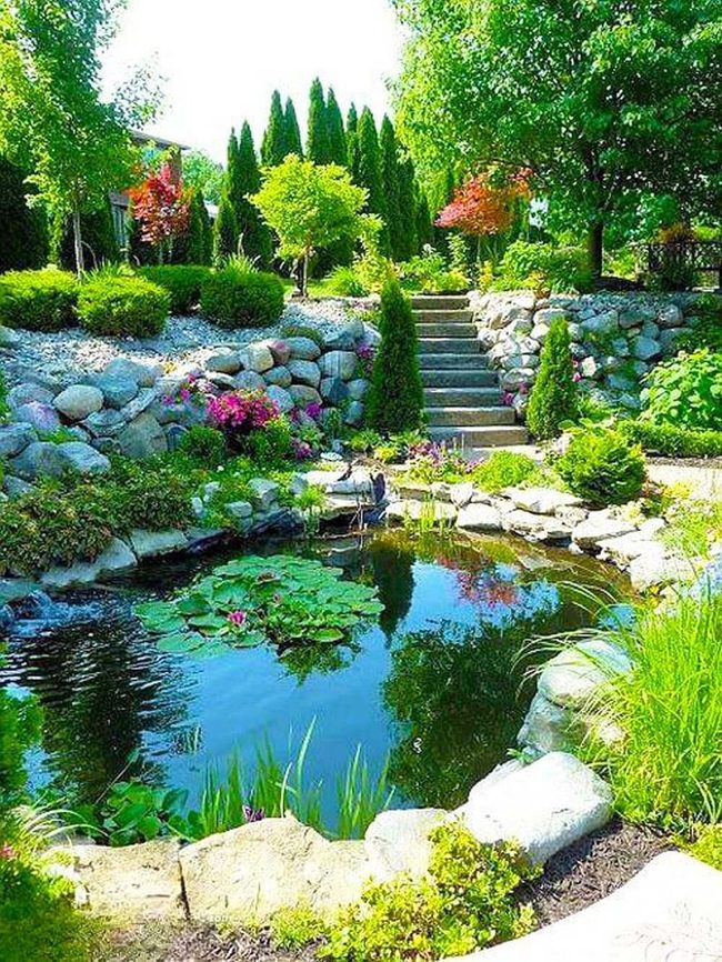 Pink Water Lilies Garden Retreat