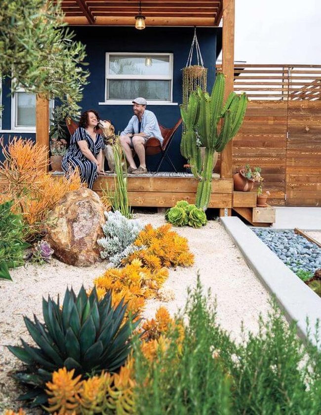 Desert Plants Meet Modern Spaces