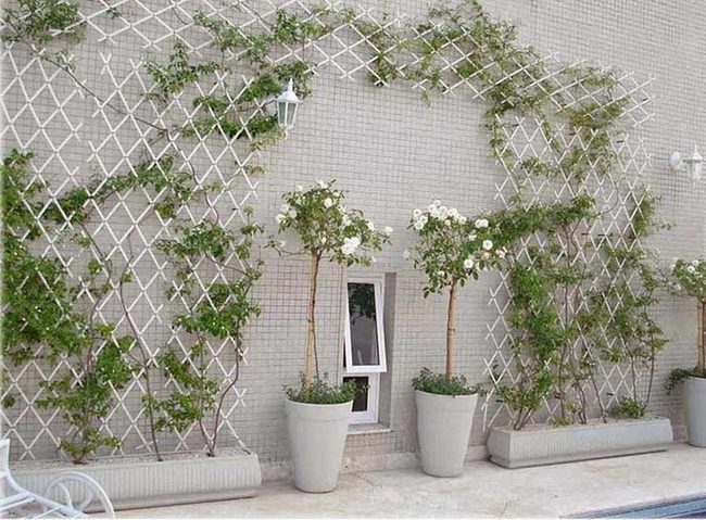 White Trellis, Layered Green Contrast