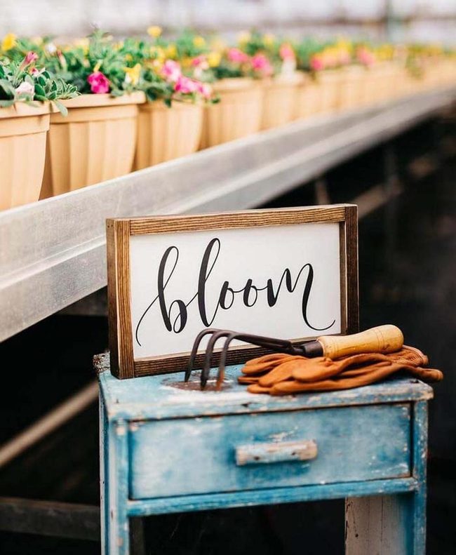 Handwritten Signs Among Blooming Flowers