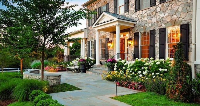 Pink Hydrangea Blooms, Easy Care