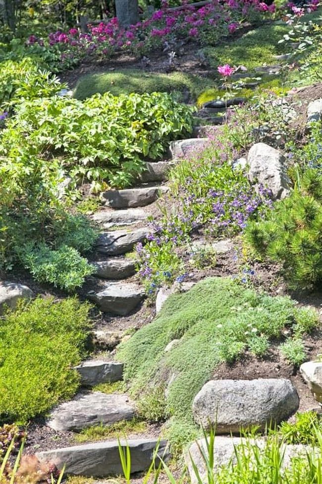 Stone Path Through Blooming Garden