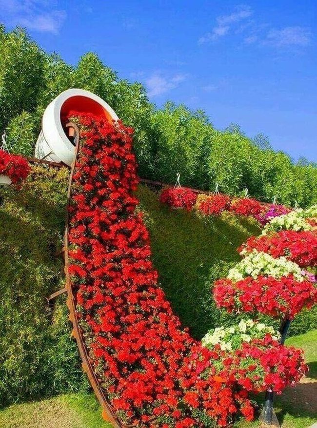 Cascading Red Bougainvillea Waterfall
