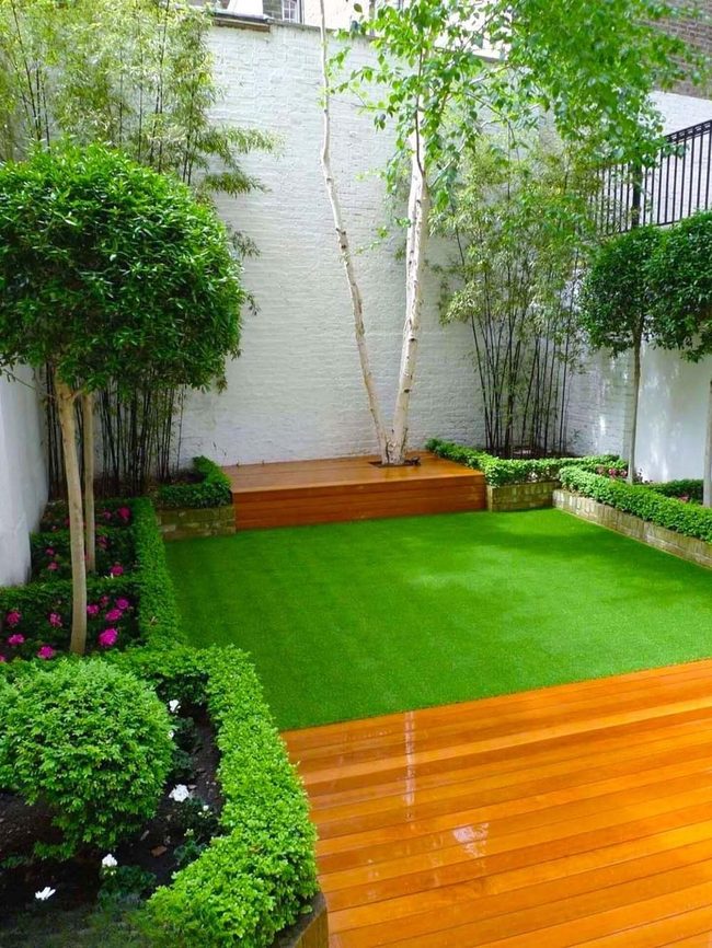 Urban Oasis With Low-Maintenance Greenery