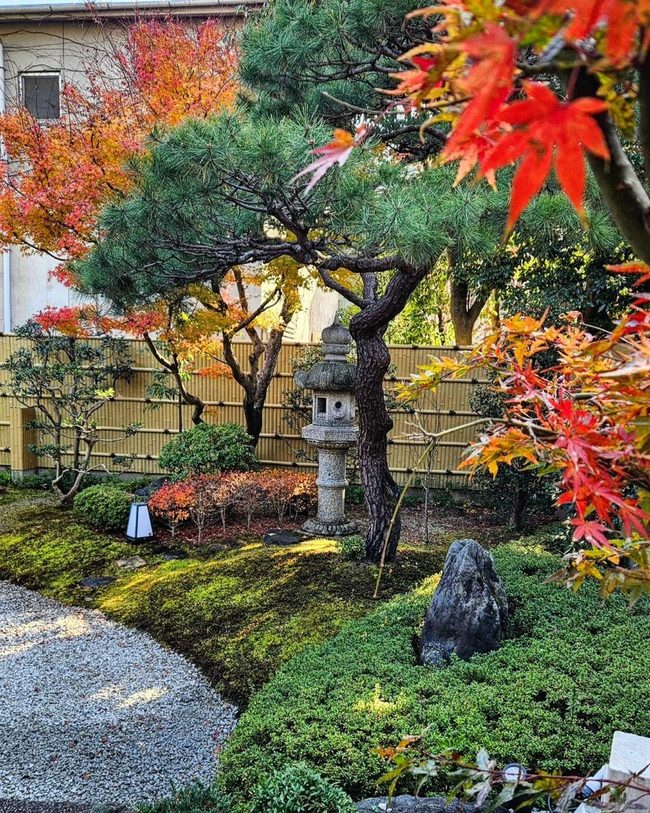 Year-Round Blooming Small Garden