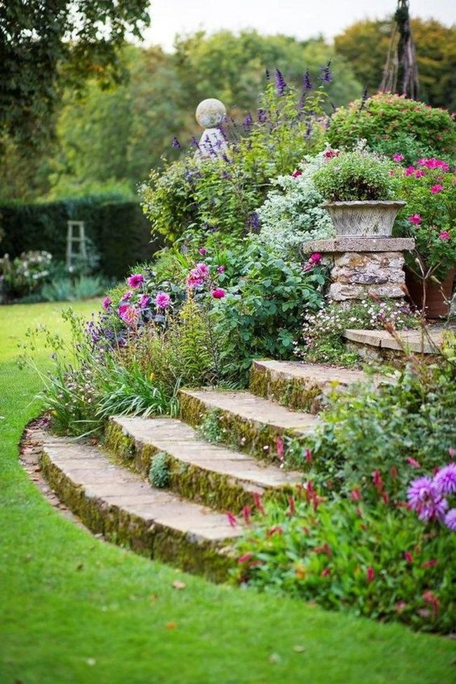 Climbing Through Blooming Stone Gardens