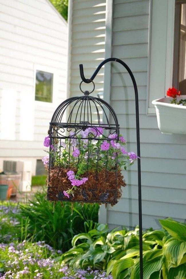 Cascading Blooms In Metal Cages