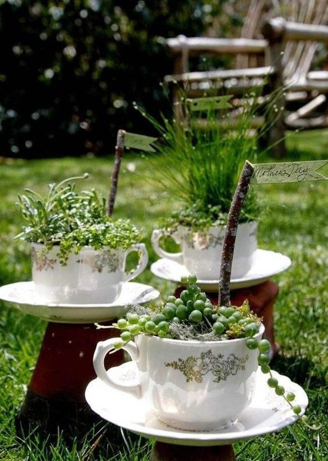 Vintage Teapots Blooming With Flowers