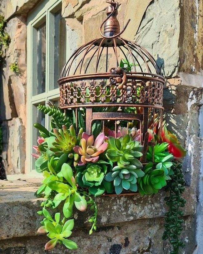 Vintage Birdcage Overflowing With Living Succulents