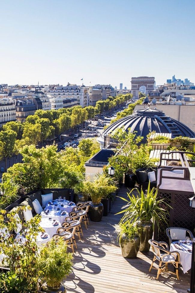Green Vertical Planters Define Urban Rooftop