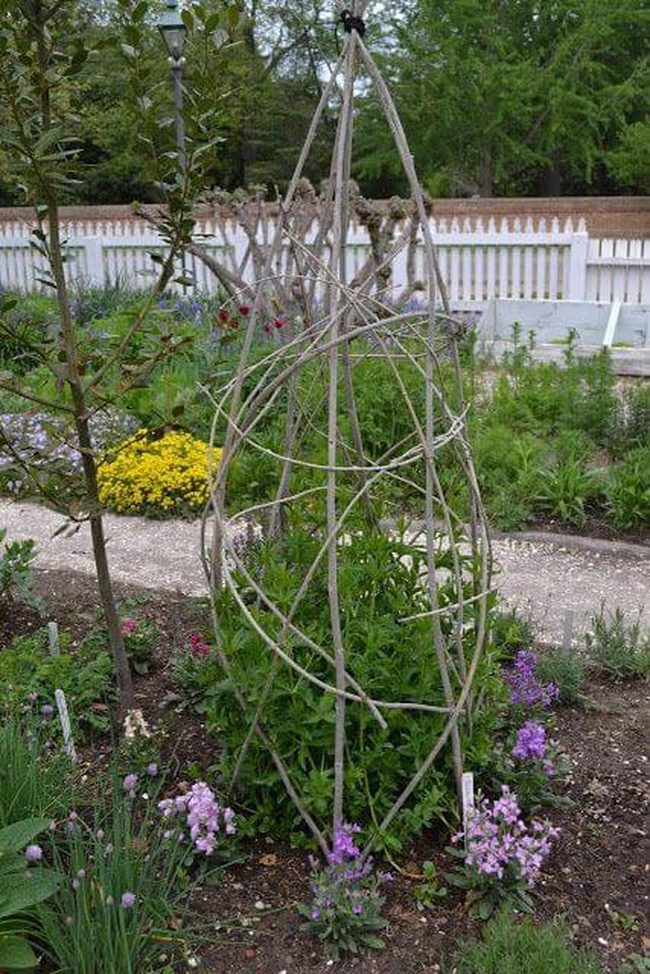 Wooden Obelisk For Climbing Vines