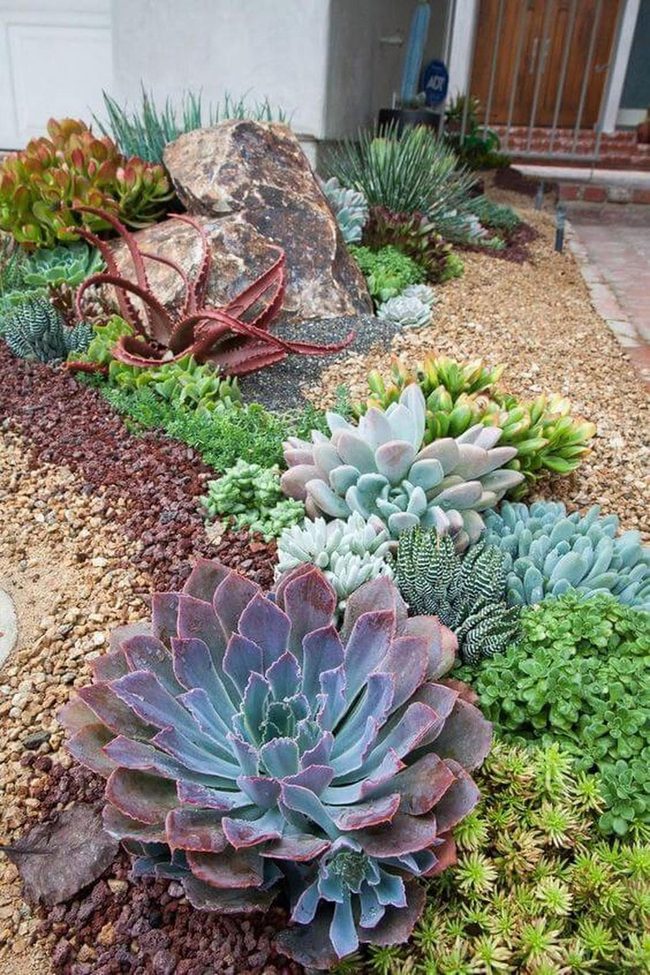 Succulent Stone Fire Pit Retreat