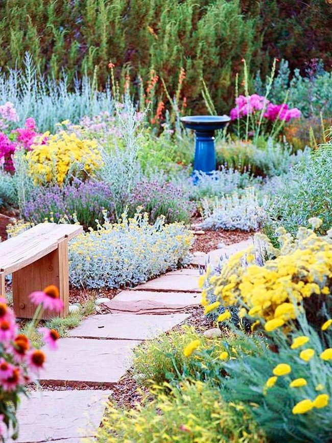 Native Plants For Local Ecosystems