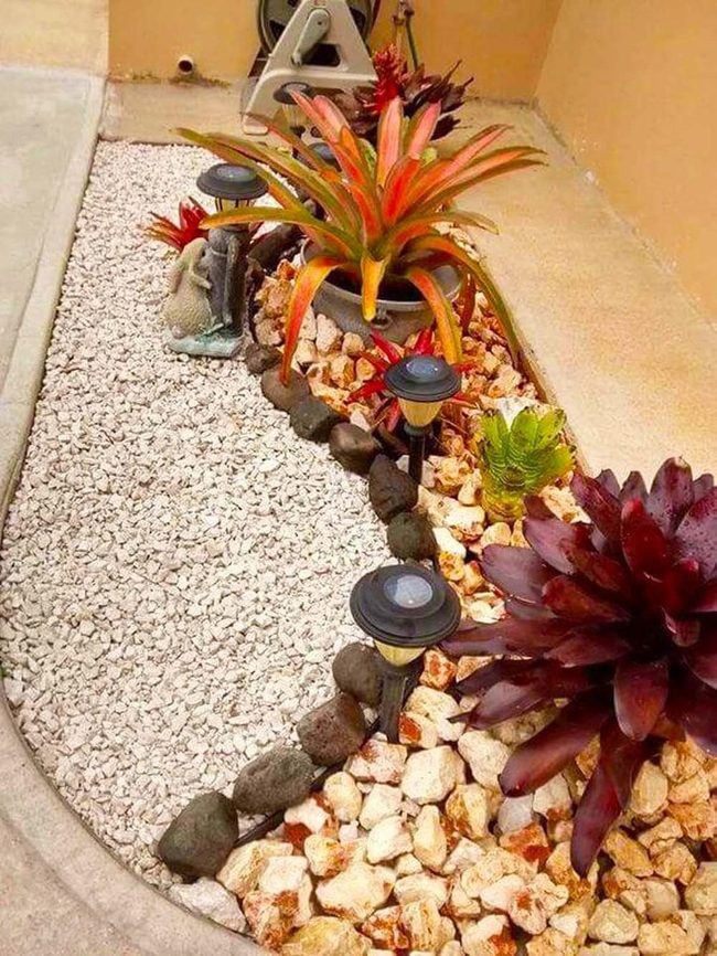 Neon Succulents On White Gravel