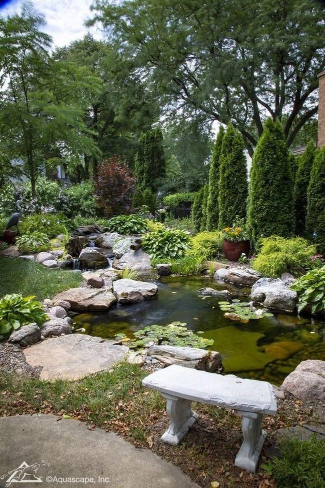 Lily Pond Garden With Water Features