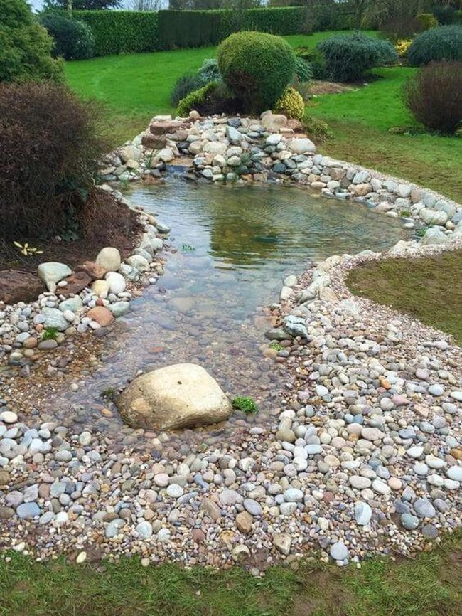 Stone-Edged Water Garden Retreat