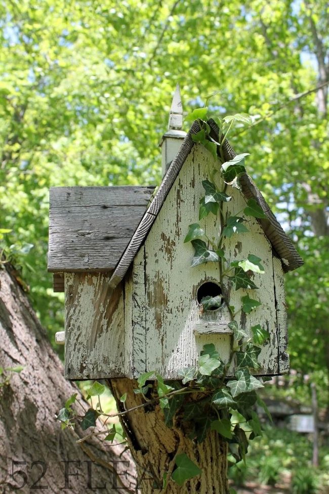 Tiny Birdhouse With Climbing Vines