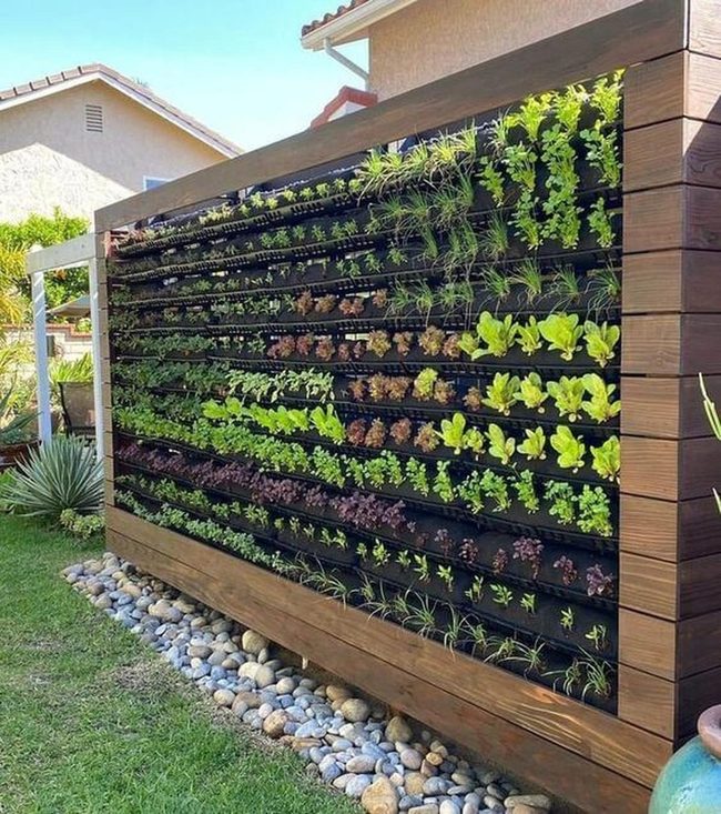 Living Wall Fresh Produce Garden
