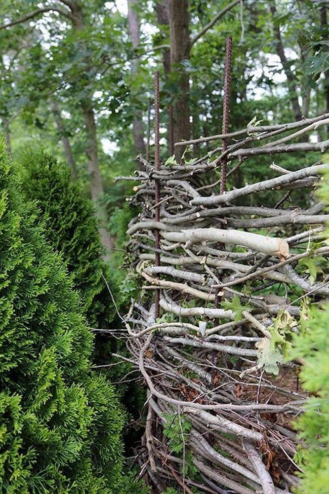Woven Branch Garden Divider