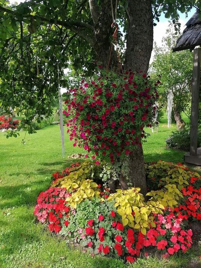 Blooming Tree Garden With Hanging Flowers