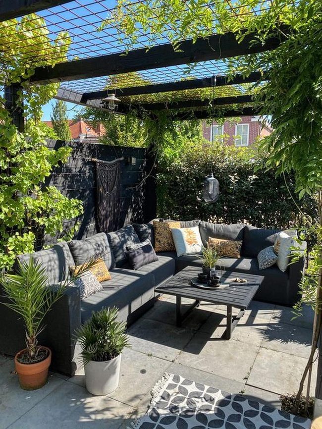 Black Furniture With Climbing Green Vines