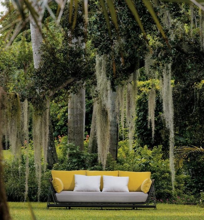 Yellow Cushions Meet Modern Garden