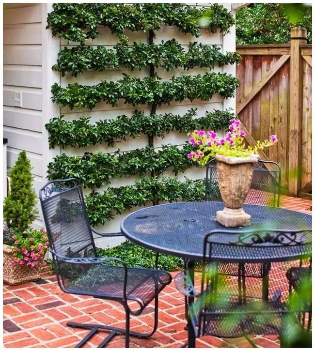 Living Green Architecture