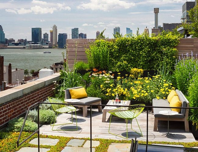Tropical Rooftop Above The City