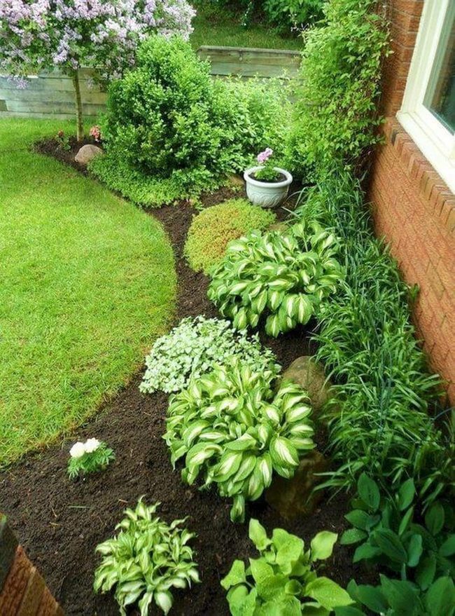 Layered Plants And Stones Garden