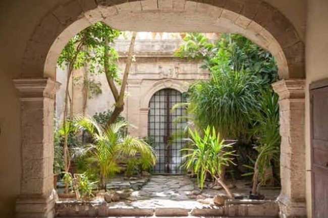 Stone Courtyard With Mediterranean Plants