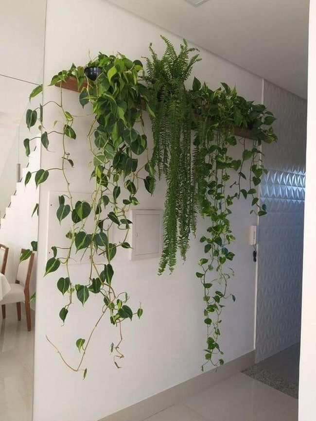 Green Vines Cascade Over Warm Wood