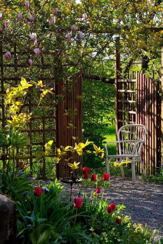 Petals And Solitude In Bloom