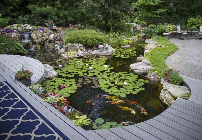 Backyard Pond Deck Escape