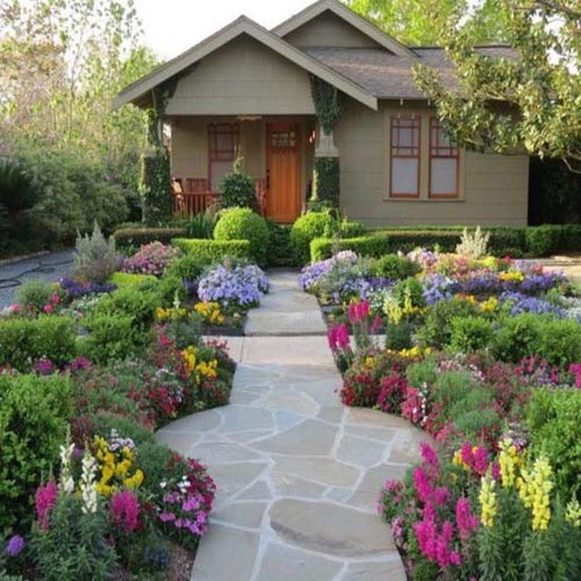 Colorful Plants Sprawl Naturally Forward
