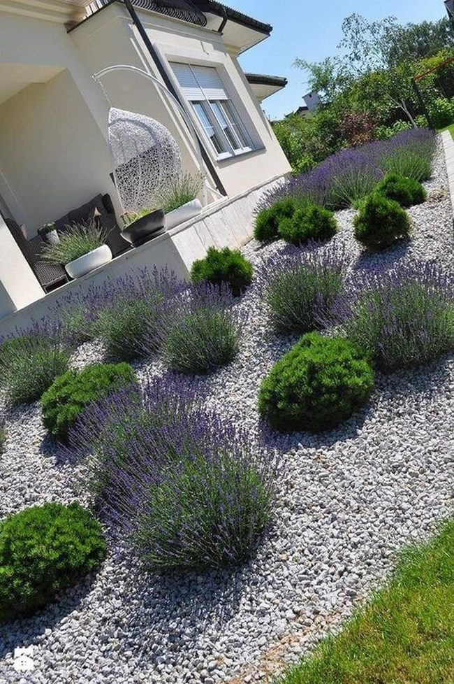 Purple Lavender With Natural Stone