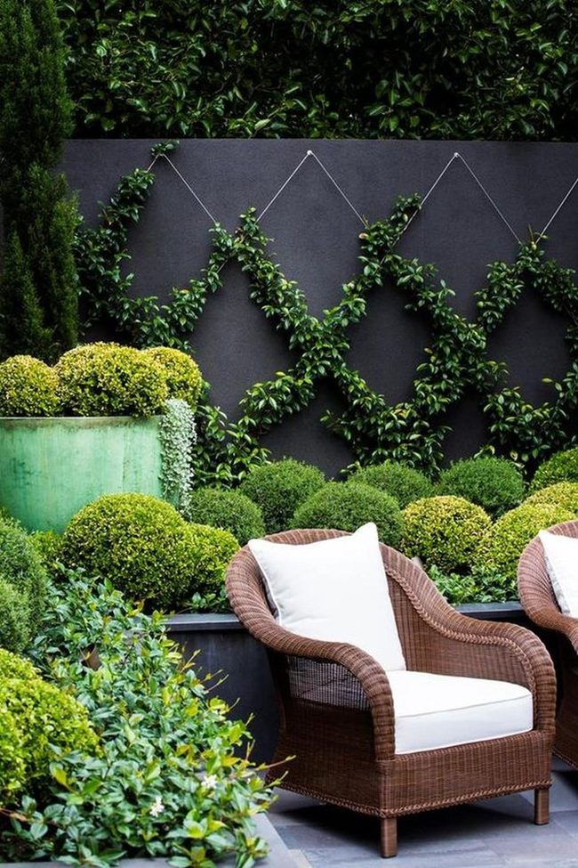 Dark Walls, Green Abundance, Wicker Rest