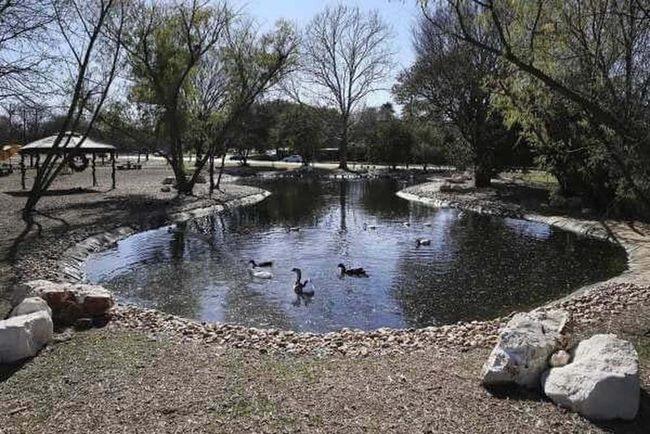 Blue Water, Happy Ducks, Peace