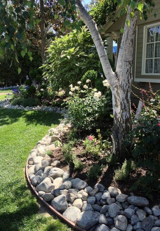 Emerald Lawn, White Birch Statement