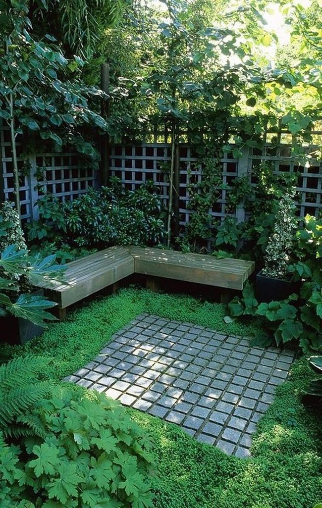 Green Moss Garden With Stone Pathways