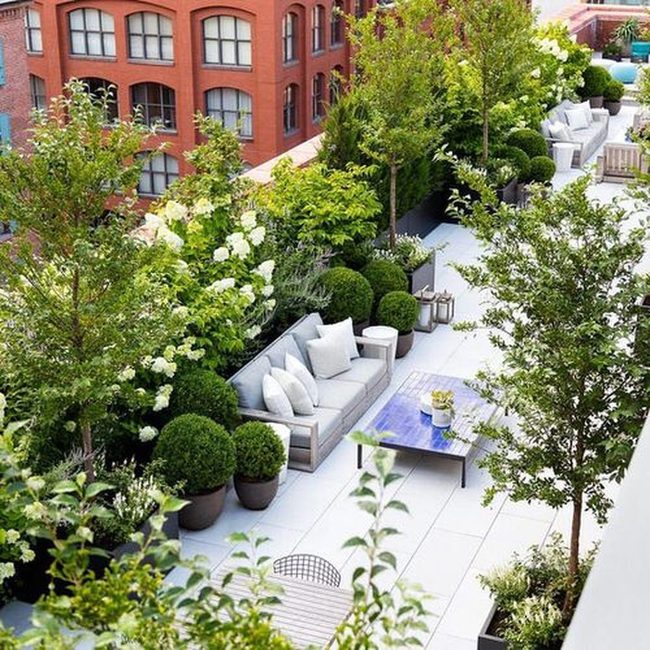 Green Heights Above The City
