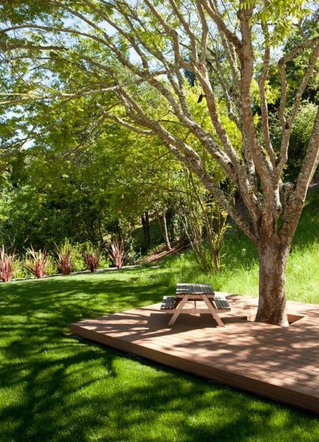 Dappled Shade And Wooden Deck