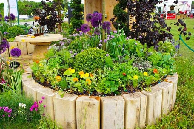 Fresh Herbs Within Arm'S Reach