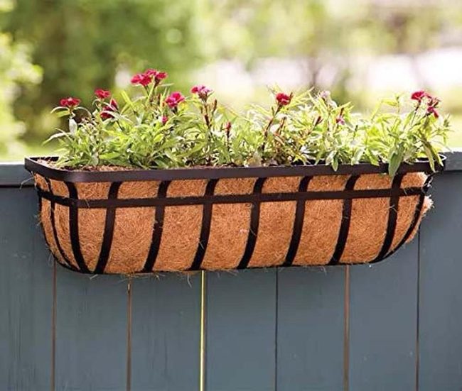 Weathered Iron Window Box Elegance