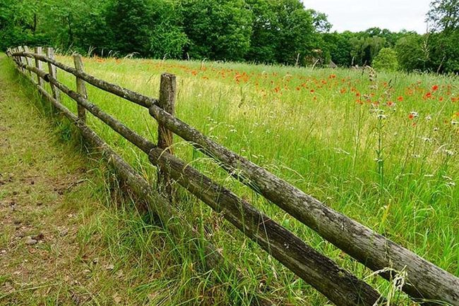 Hand-Split Wood Fence Authenticity