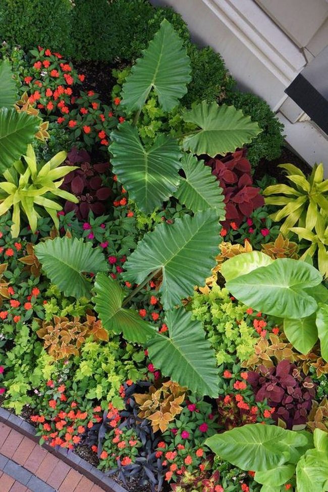 Saturated Colors Dancing Through Layered Foliage