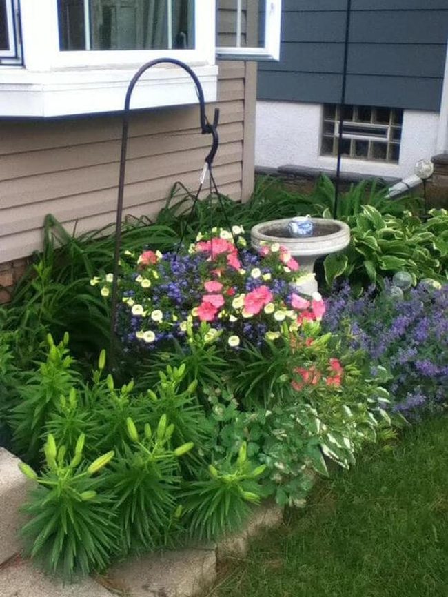 Cascading Petunias And Garden Birdbath