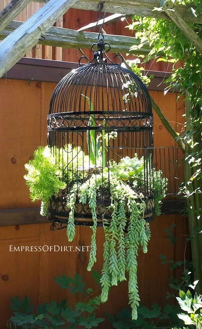 Dark Metal Birdcage Cascading Ferns